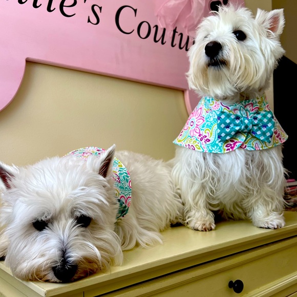 BOWTIE CAPES - Picture 1 of 7